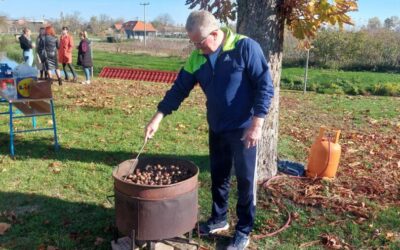 Kestenijada u područnoj školi Prkovci