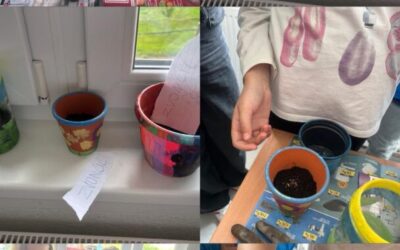 Naše ruke za zelenije sutra